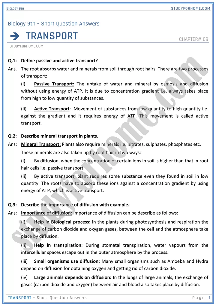 transport short question answers biology 9th 1