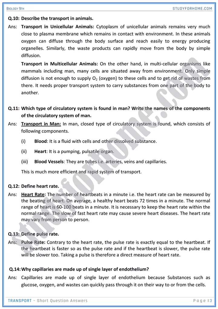 transport short question answers biology 9th 3