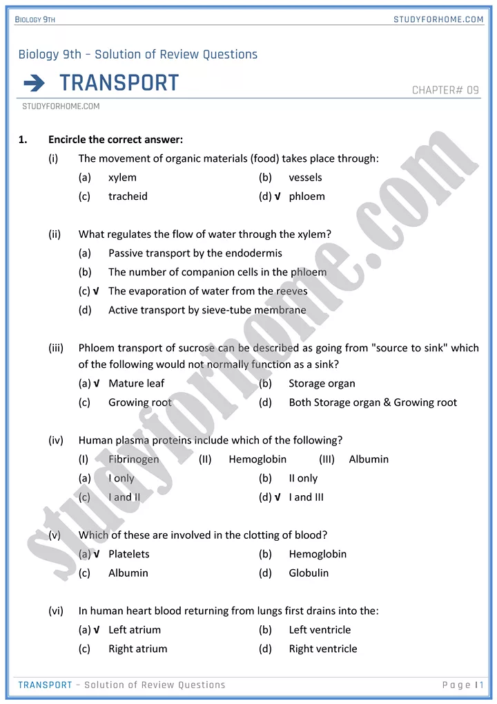 transport solution of review questions biology 9th 01