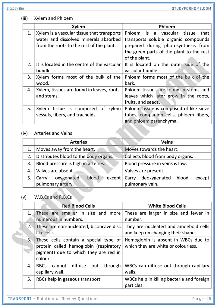 transport solution of review questions biology 9th 05