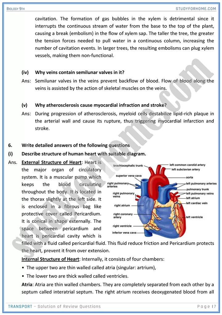 transport solution of review questions biology 9th 07