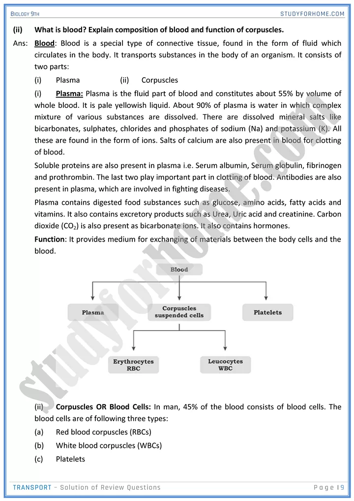 transport solution of review questions biology 9th 09