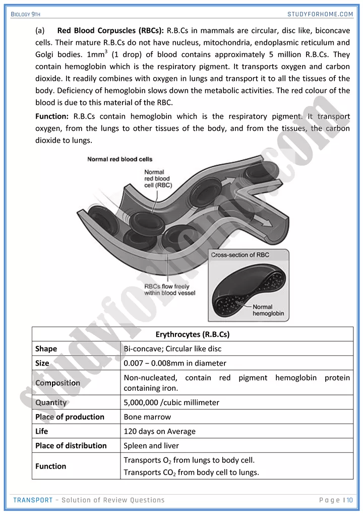 transport solution of review questions biology 9th 10