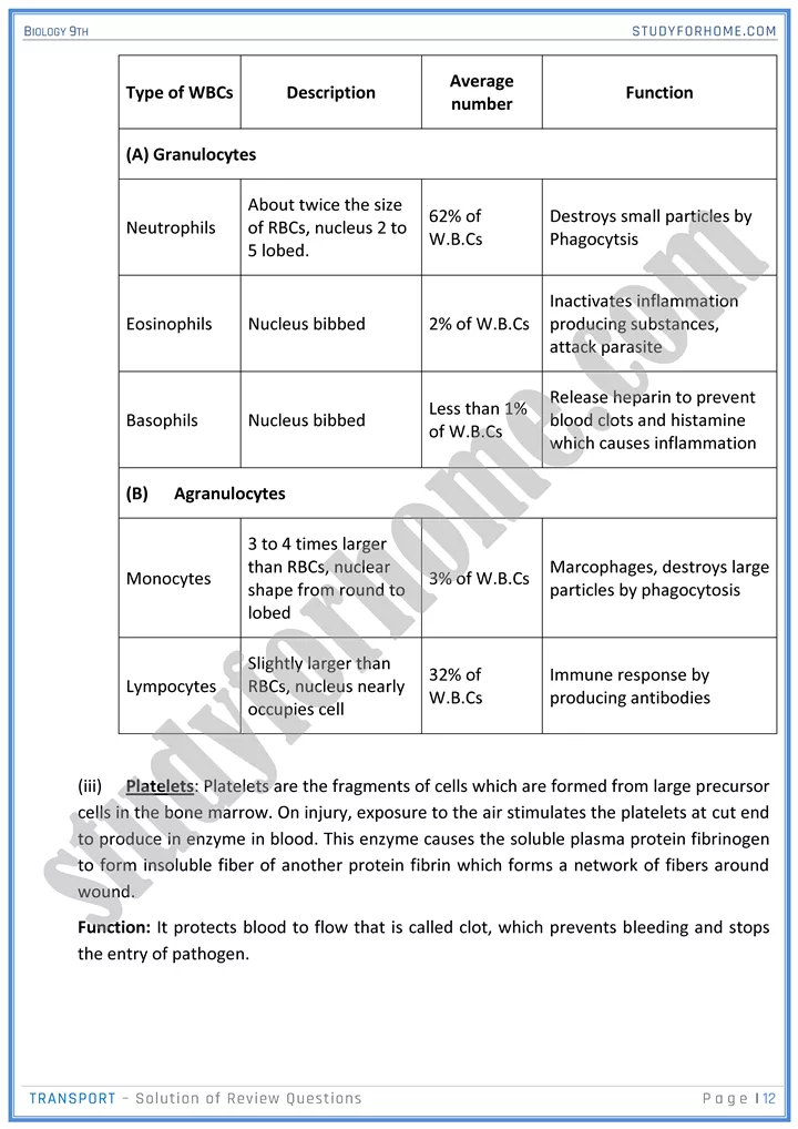 transport solution of review questions biology 9th 12