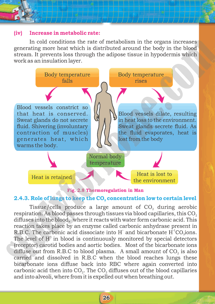 Homeostasis - Chapter 2 - Biology 10th Text Book