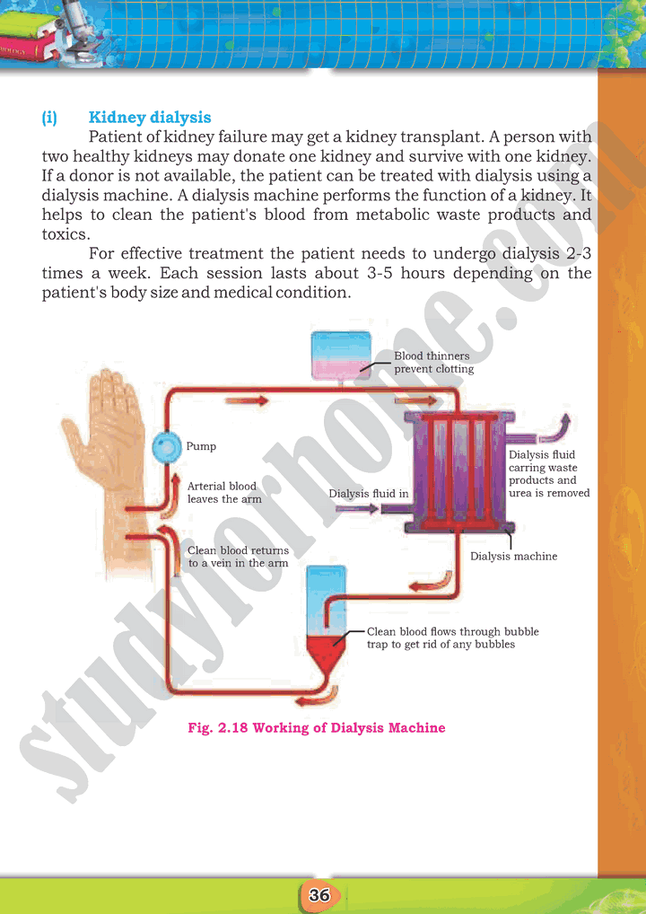 Homeostasis - Chapter 2 - Biology 10th Text Book