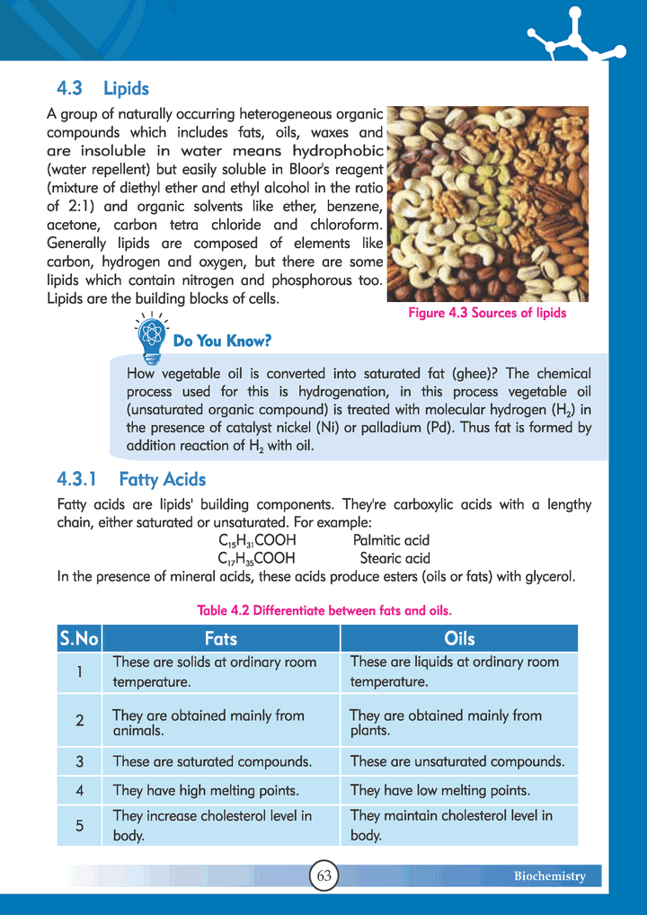 Biochemistry - Chapter 4 - Chemistry 10th Text Book