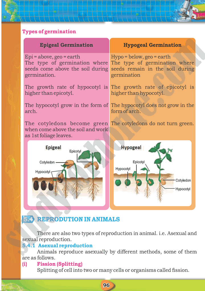 Reproduction - Chapter 5 - Biology 10th Text Book