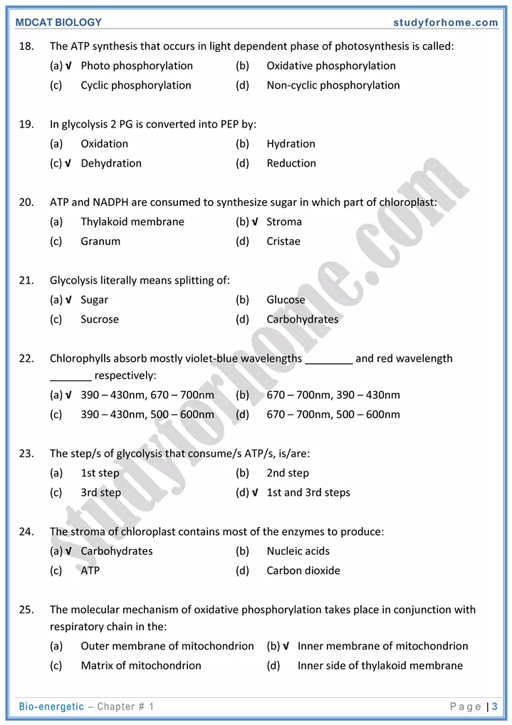 mdcat-biology-chapter-2-bioenergetics-online-mcqs-test-3