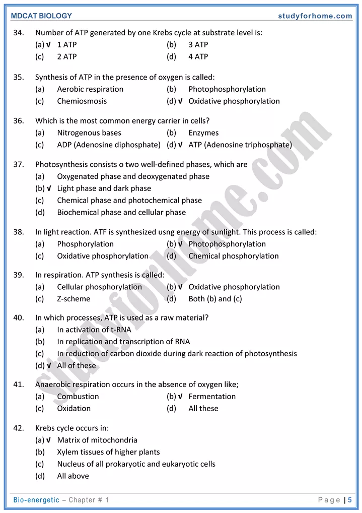 mdcat-biology-chapter-2-bioenergetics-online-mcqs-test-5