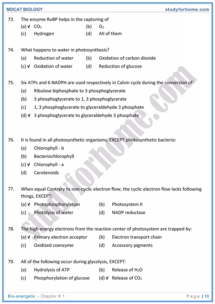 mdcat-biology-chapter-2-bioenergetics-online-mcqs-test-10