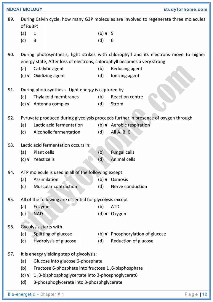 mdcat-biology-chapter-2-bioenergetics-online-mcqs-test-12