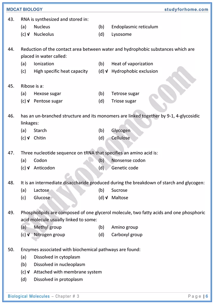 mdcat-biology-chapter-3-biological-molecules-online-mcqs-test-6