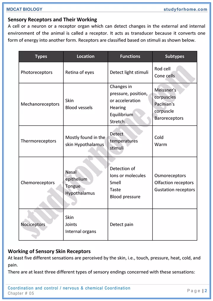 mdcat-biology-chapter-5-coordination-and-control-online-mcqs-test-2