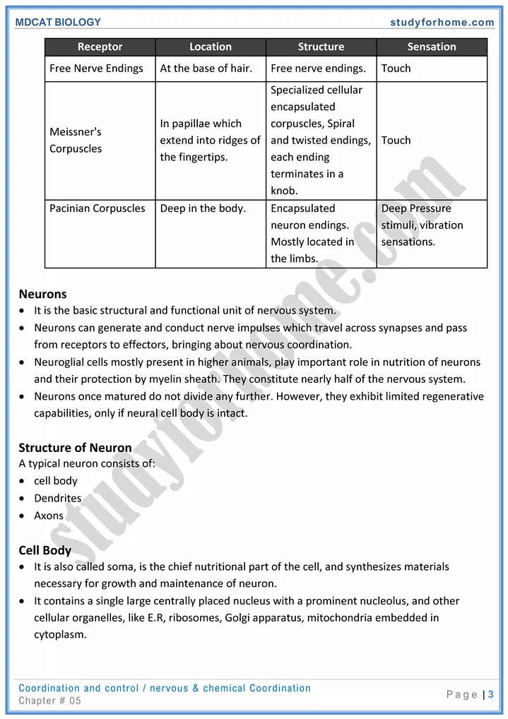 mdcat-biology-chapter-5-coordination-and-control-online-mcqs-test-3