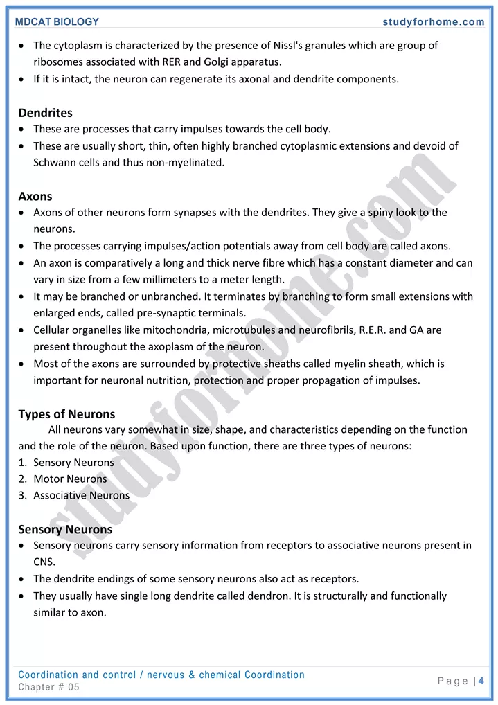 mdcat-biology-chapter-5-coordination-and-control-online-mcqs-test-4