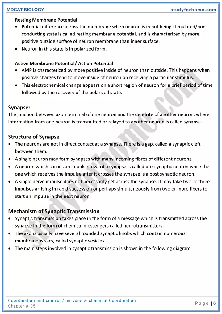 mdcat-biology-chapter-5-coordination-and-control-online-mcqs-test-6