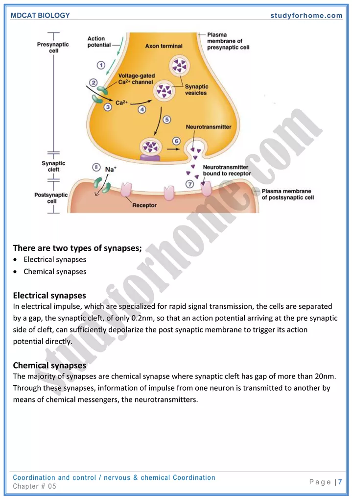 mdcat-biology-chapter-5-coordination-and-control-online-mcqs-test-7