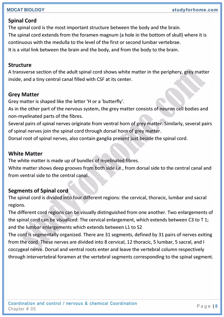 mdcat-biology-chapter-5-coordination-and-control-online-mcqs-test-8