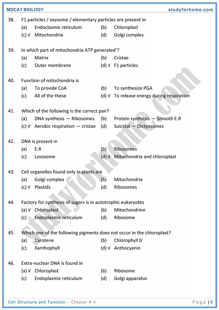 mdcat-biology-chapter-4-cell-structure-and-function-online-mcqs-test-6