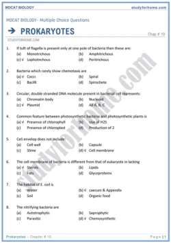 chap-10-prokaryotes-biology-mdcat-1