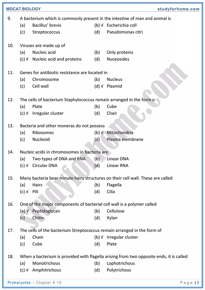 chap 10 prokaryotes biology mdcat 02