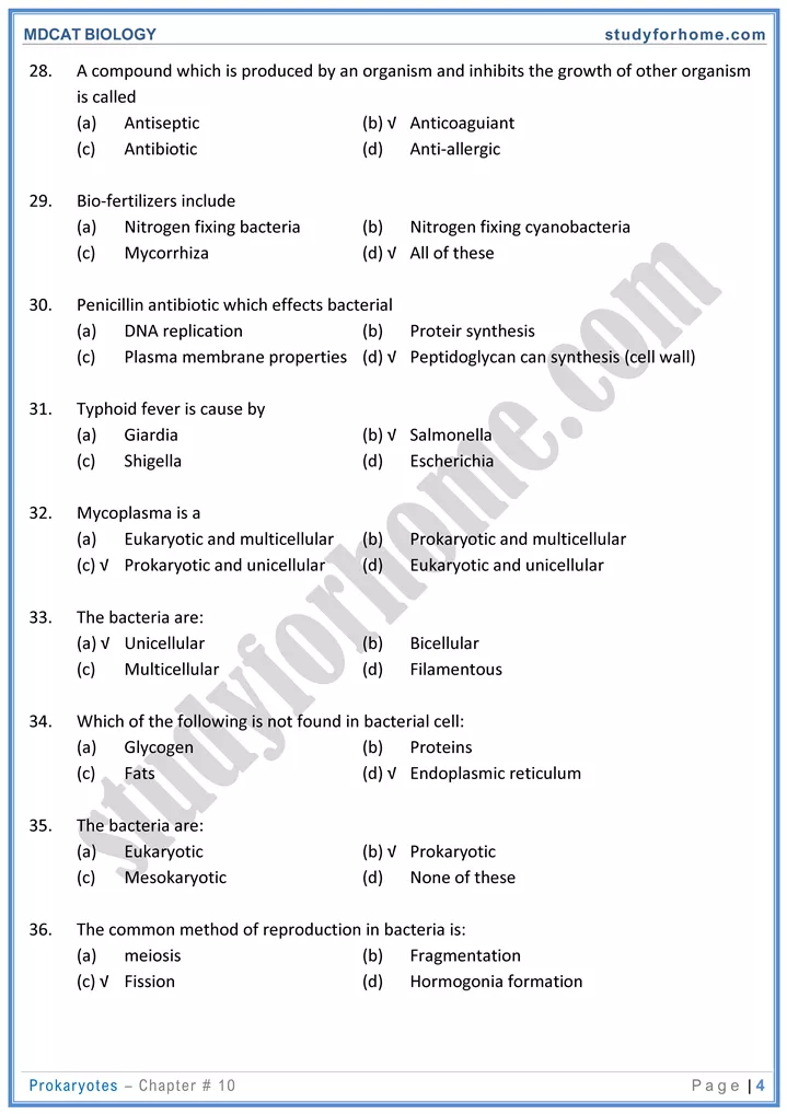 chap 10 prokaryotes biology mdcat 04