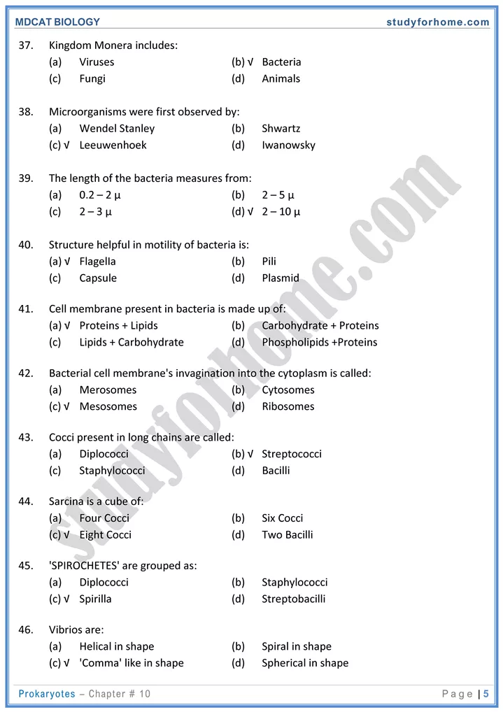 chap 10 prokaryotes biology mdcat 05