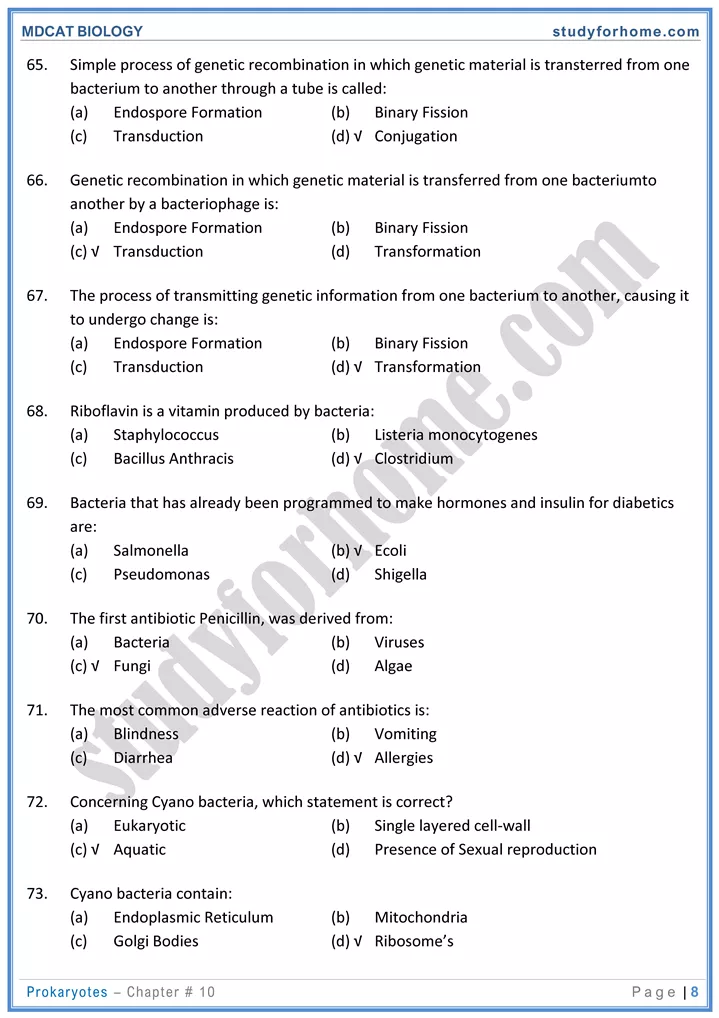 chap 10 prokaryotes biology mdcat 08