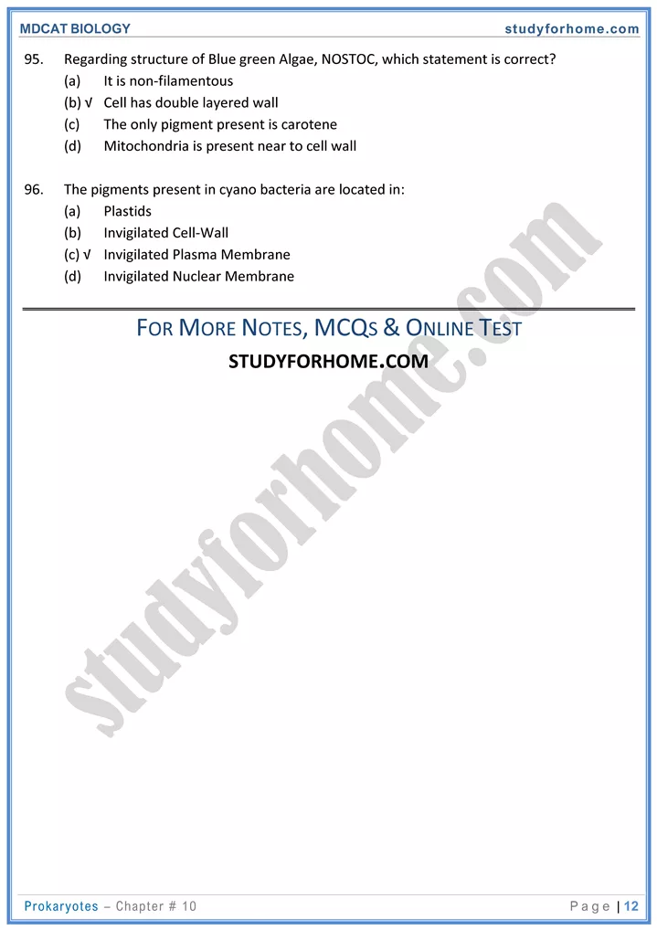 chap 10 prokaryotes biology mdcat 12