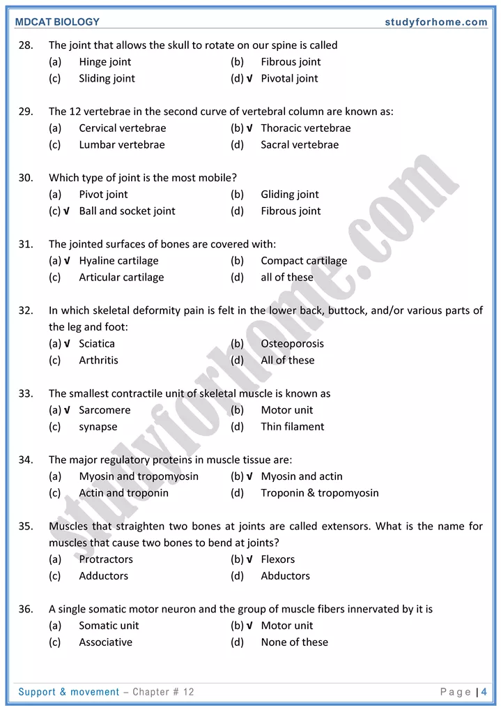 chap 12 support movement biology mdcat 04