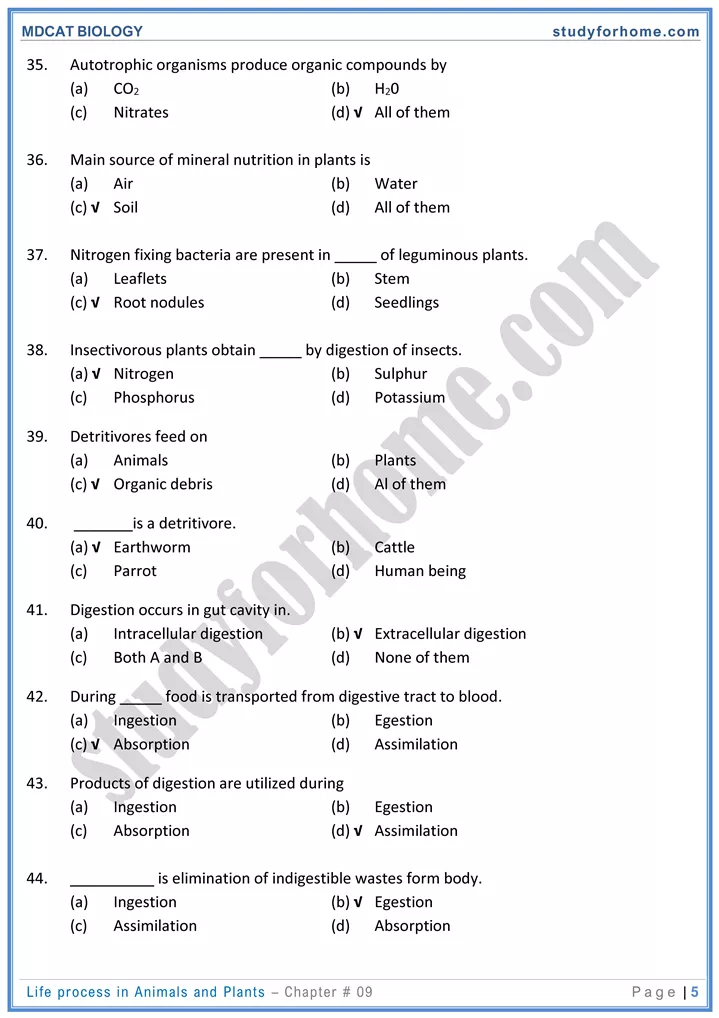 chap 9 life process in animals and plants biology mdcat 05