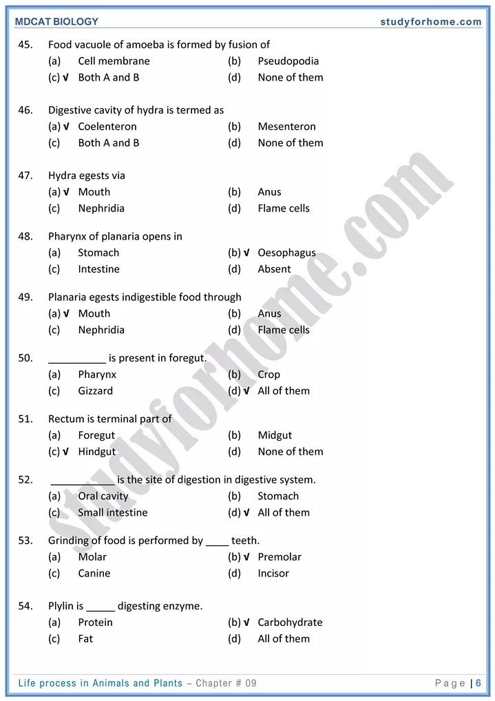 chap 9 life process in animals and plants biology mdcat 06