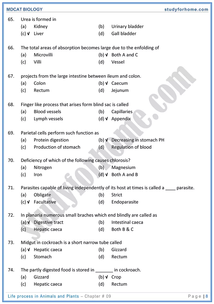 chap 9 life process in animals and plants biology mdcat 08