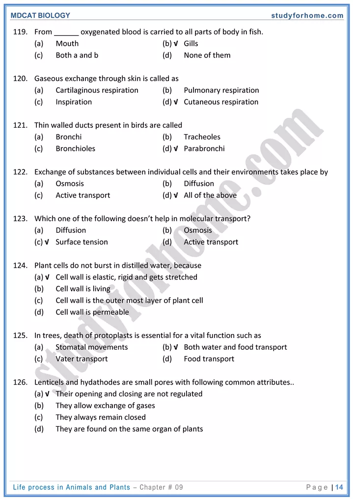 chap 9 life process in animals and plants biology mdcat 14