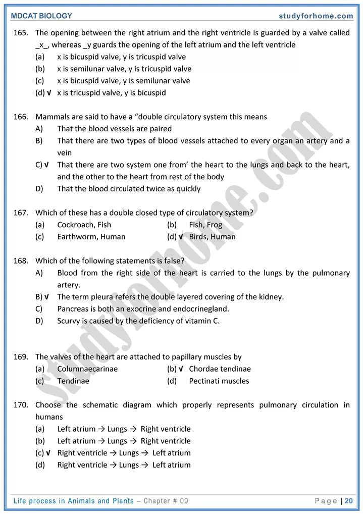 chap 9 life process in animals and plants biology mdcat 20