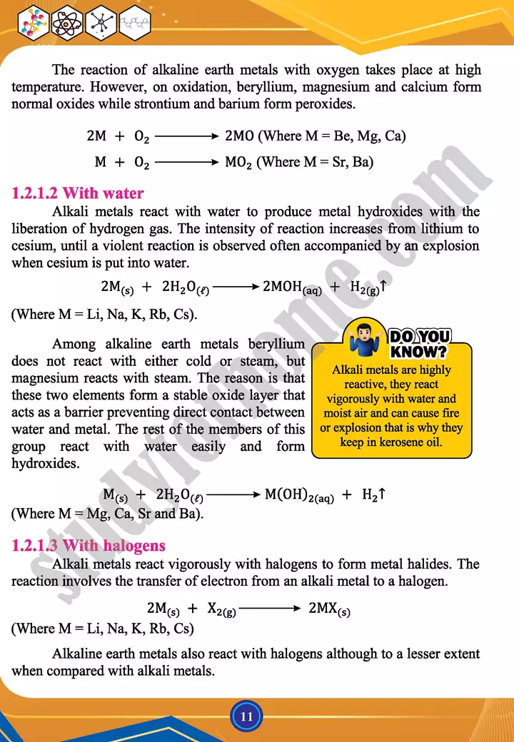 chapter 1 chemistry of representative elements chemistry 12th text book 11