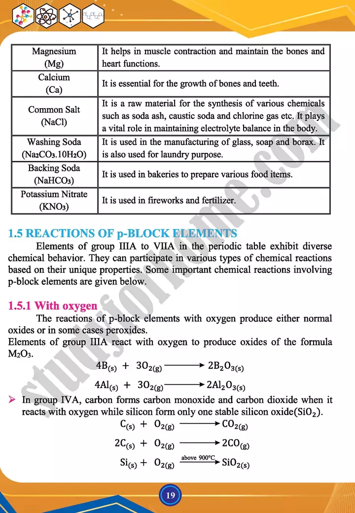 chapter 1 chemistry of representative elements chemistry 12th text book 19