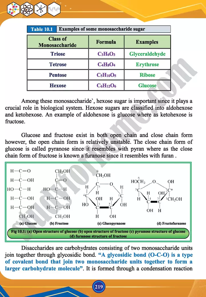 chapter 10 biochemistry chemistry 12th text book 03