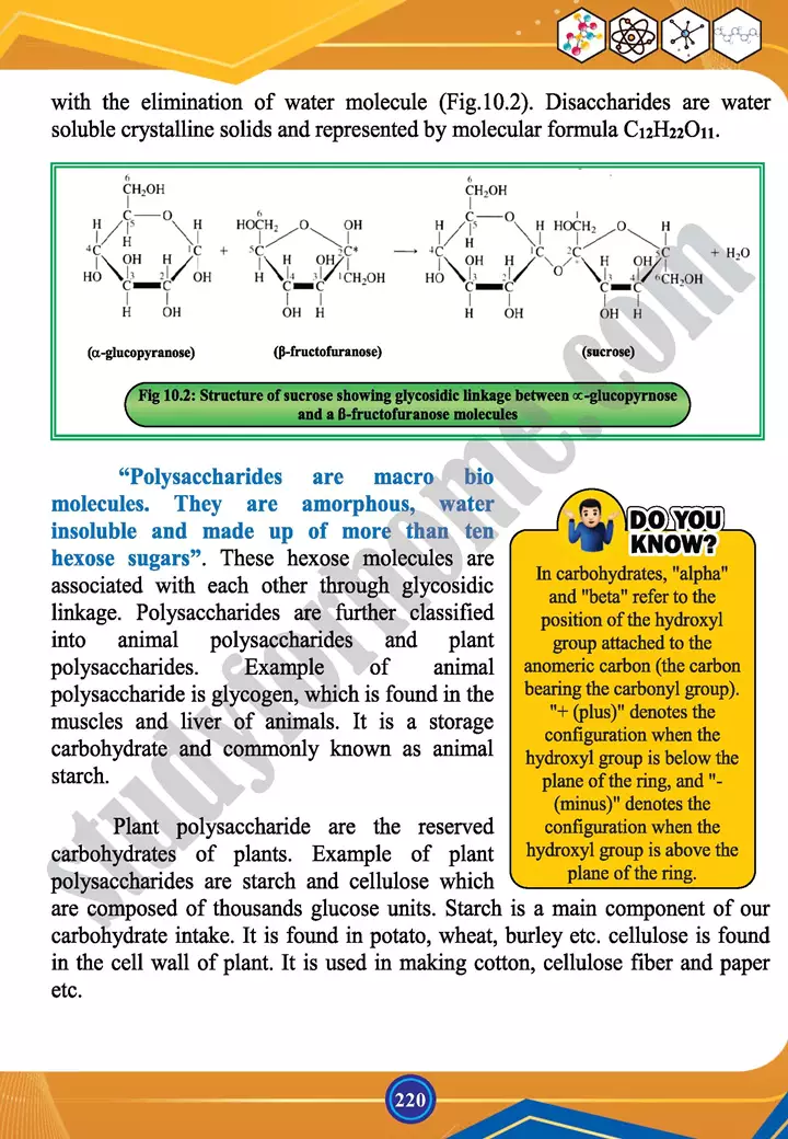 chapter 10 biochemistry chemistry 12th text book 04