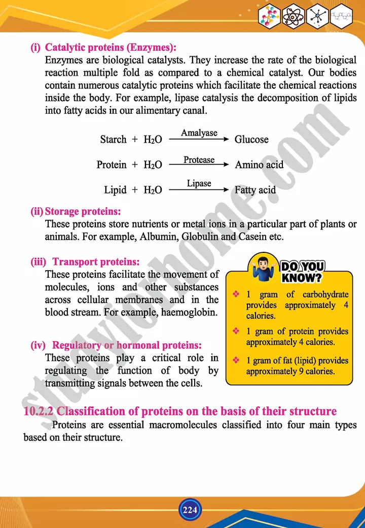 chapter 10 biochemistry chemistry 12th text book 08