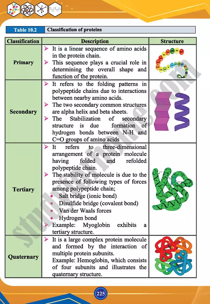 chapter 10 biochemistry chemistry 12th text book 09