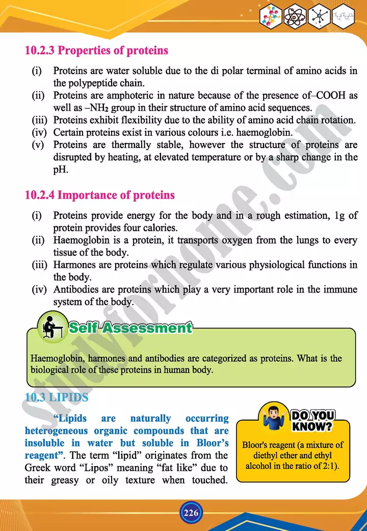 chapter 10 biochemistry chemistry 12th text book 10