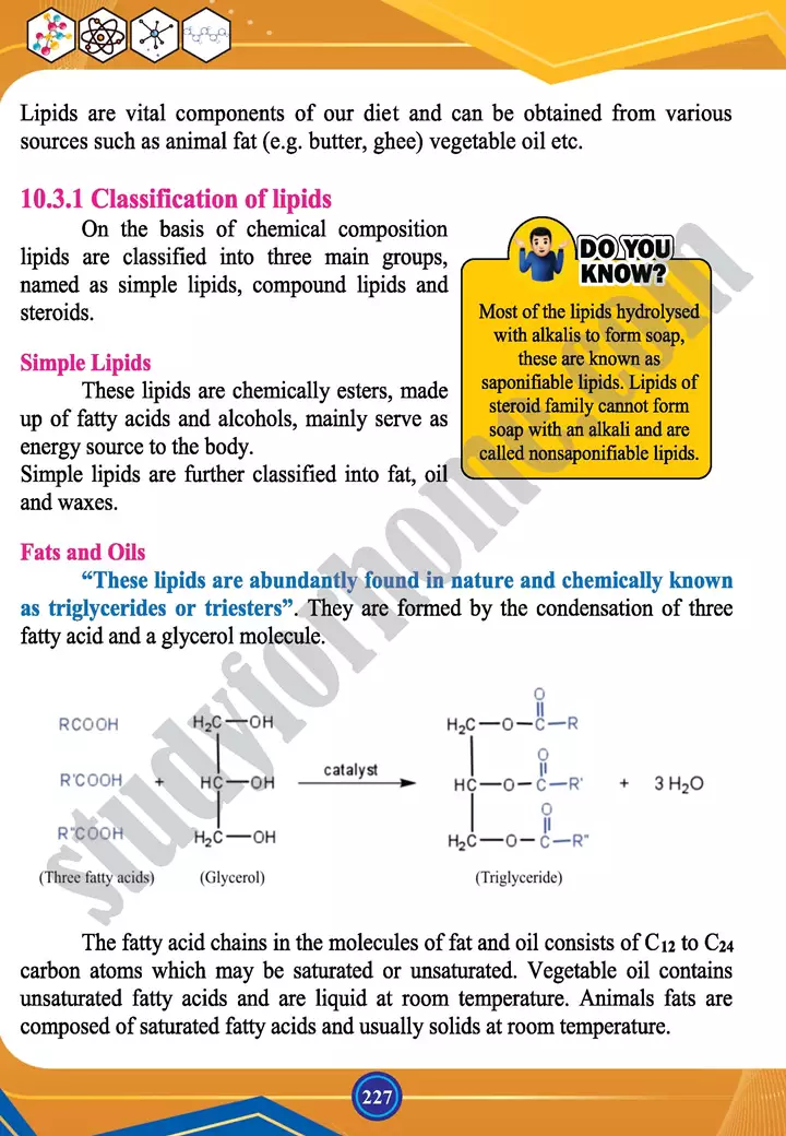 chapter 10 biochemistry chemistry 12th text book 11