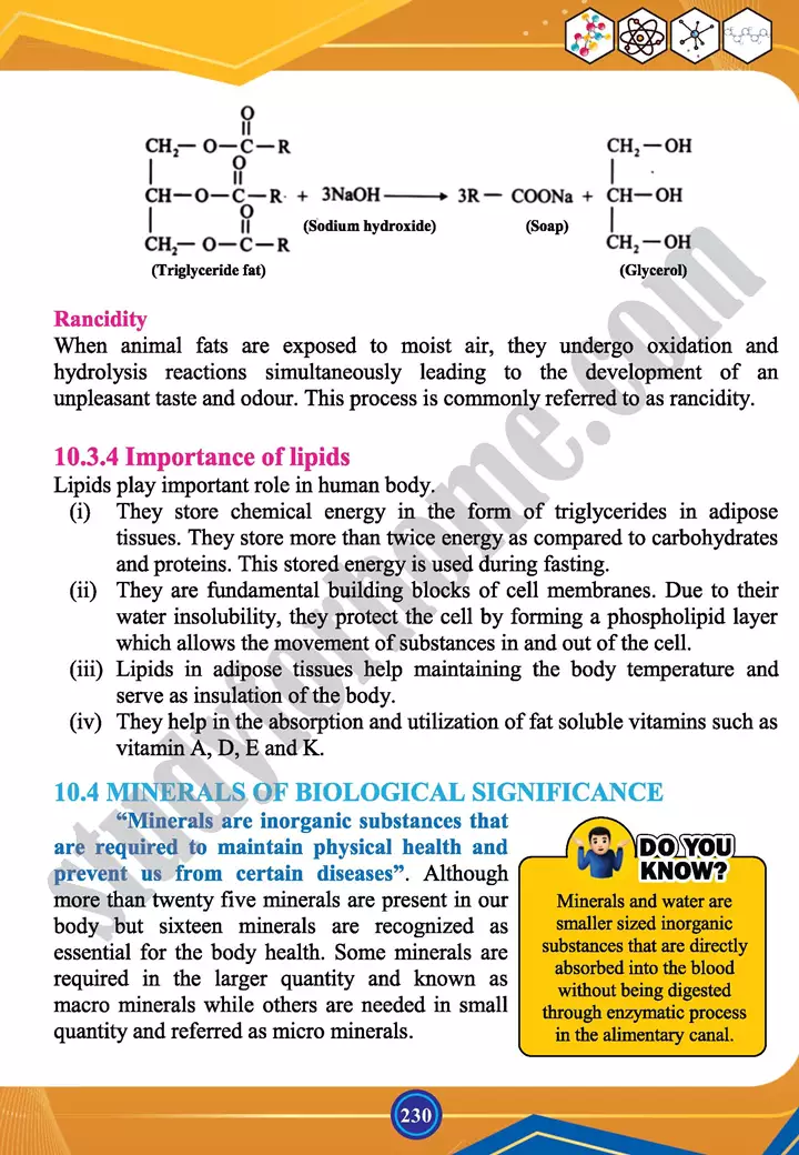 chapter 10 biochemistry chemistry 12th text book 14