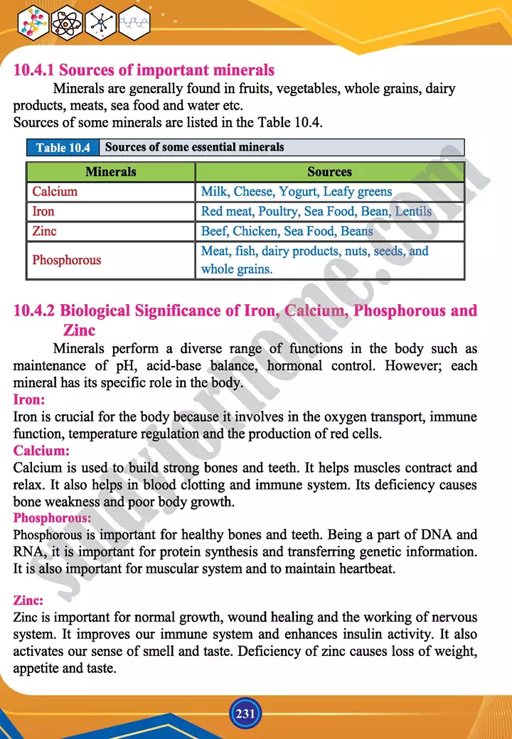 chapter 10 biochemistry chemistry 12th text book 15