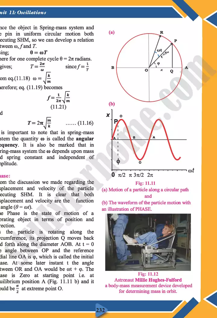 chapter 11 oscillations physics 11th text book 09