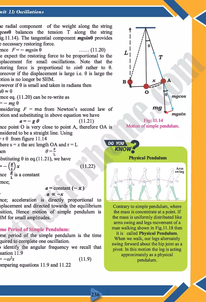 chapter 11 oscillations physics 11th text book 13