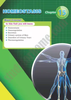 chapter-15-homeostasis-biology-12th-text-book