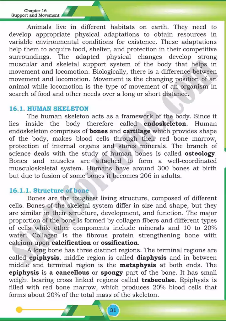 chapter 16 support and movement biology 12th text book 02